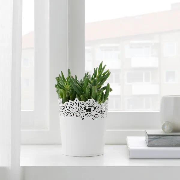 گلدان IKEA مدل SAMVERKA