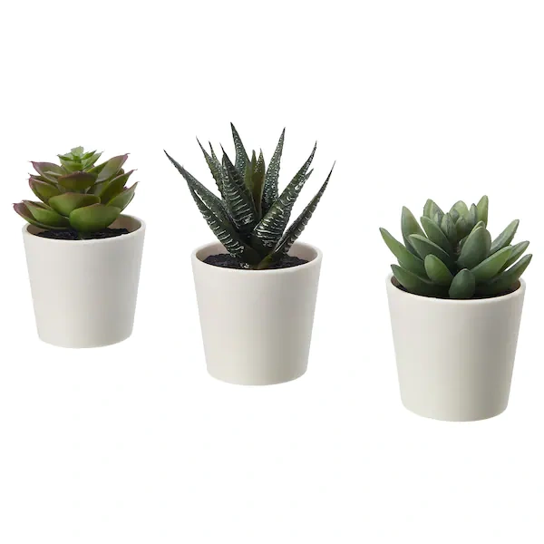 کاکتوس مصنوعی IKEA مدل FEJKA