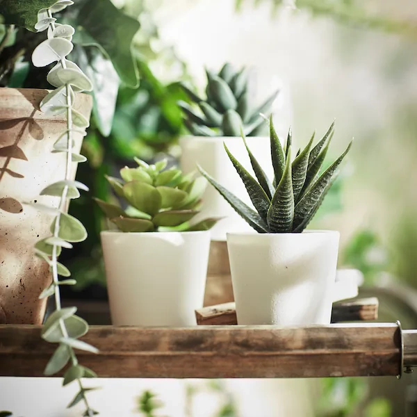 کاکتوس مصنوعی IKEA مدل FEJKA