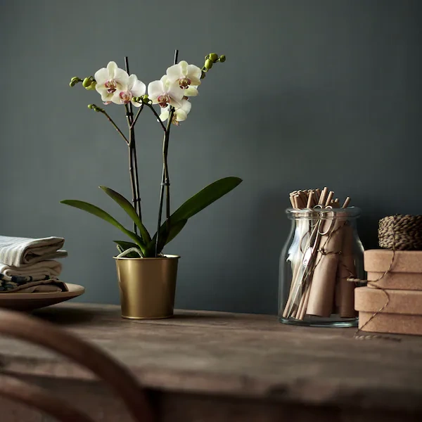 گلدان IKEA مدل DAIDAI رنگ طلایی