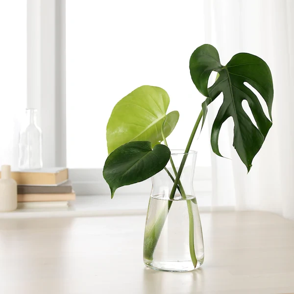 پارچ IKEA مدل KARAFF