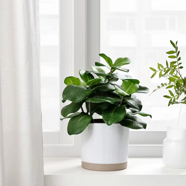 گل IKEA مدل FEJKA ارتفاع 32