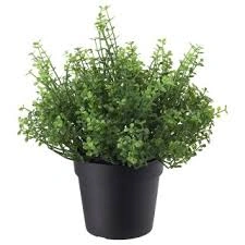 گل مصنوعی  IKEA سری FEJKA