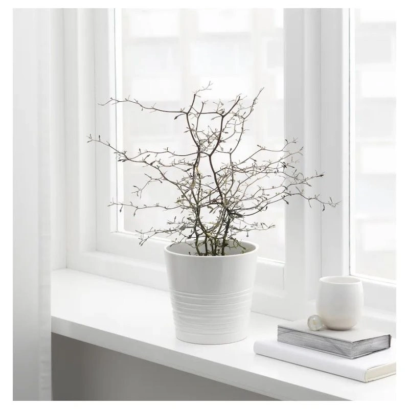 گلدان IKEA مدل MUSKOT