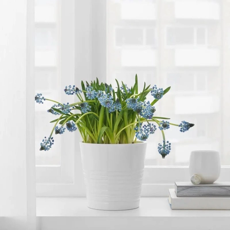 گلدان IKEA مدل MUSKOT