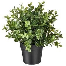 گل مصنوعی ایکیا مدل fejka